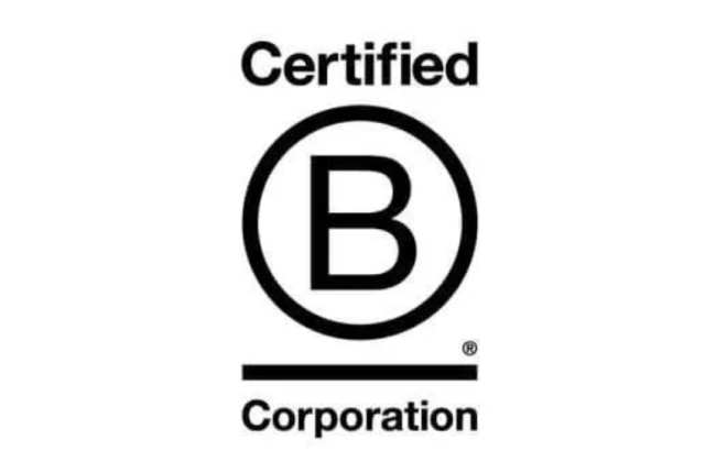 Empresas B-Corp: Más allá de las ganancias, hacia un impacto positivo